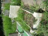 image of grave number 624139